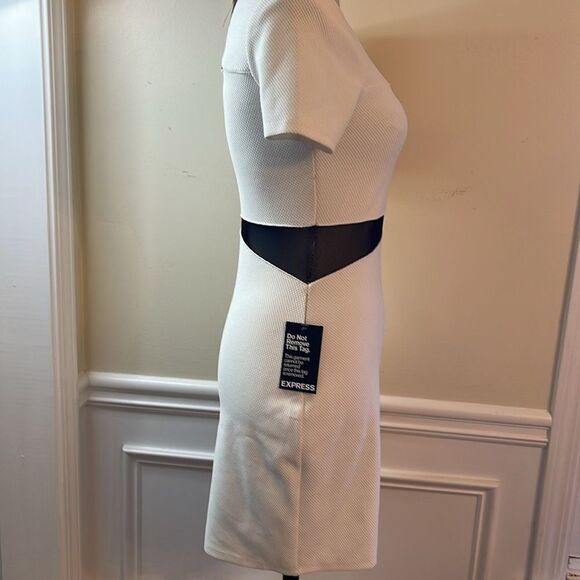 Express BodyCon Dress - Picture 3 of 11